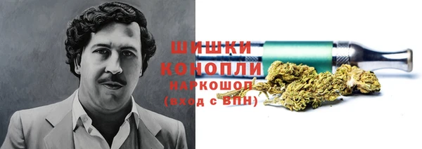 кокс Белокуриха