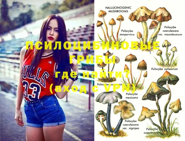 трава Беломорск