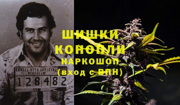 кокс Белокуриха